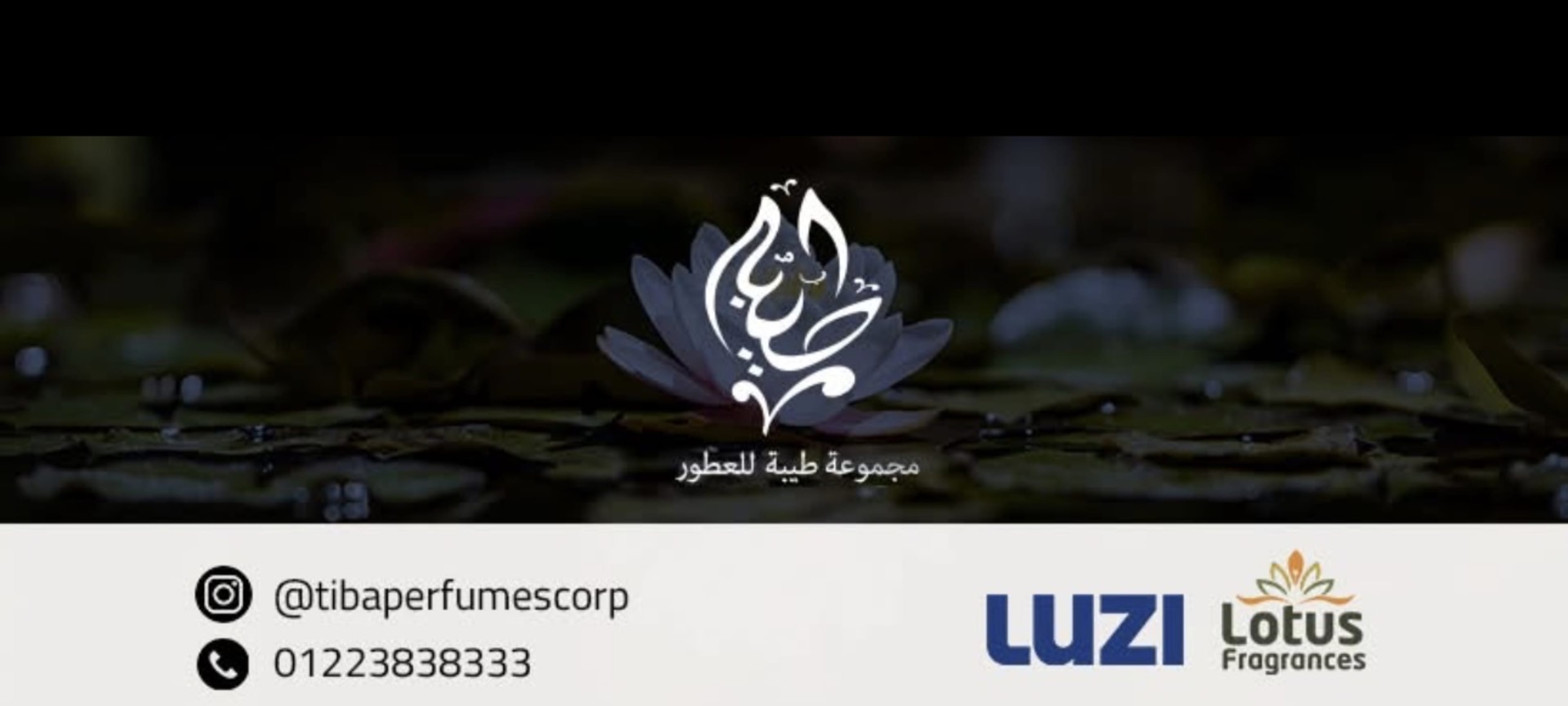 طيبة للعطور 