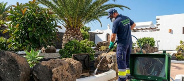 ¿Raíces en las Tuberías? El Peligro de los Jardines en Lanzarote