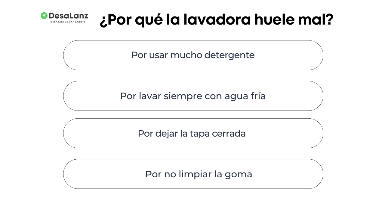 limpieza goma lavadora moho lanzarote