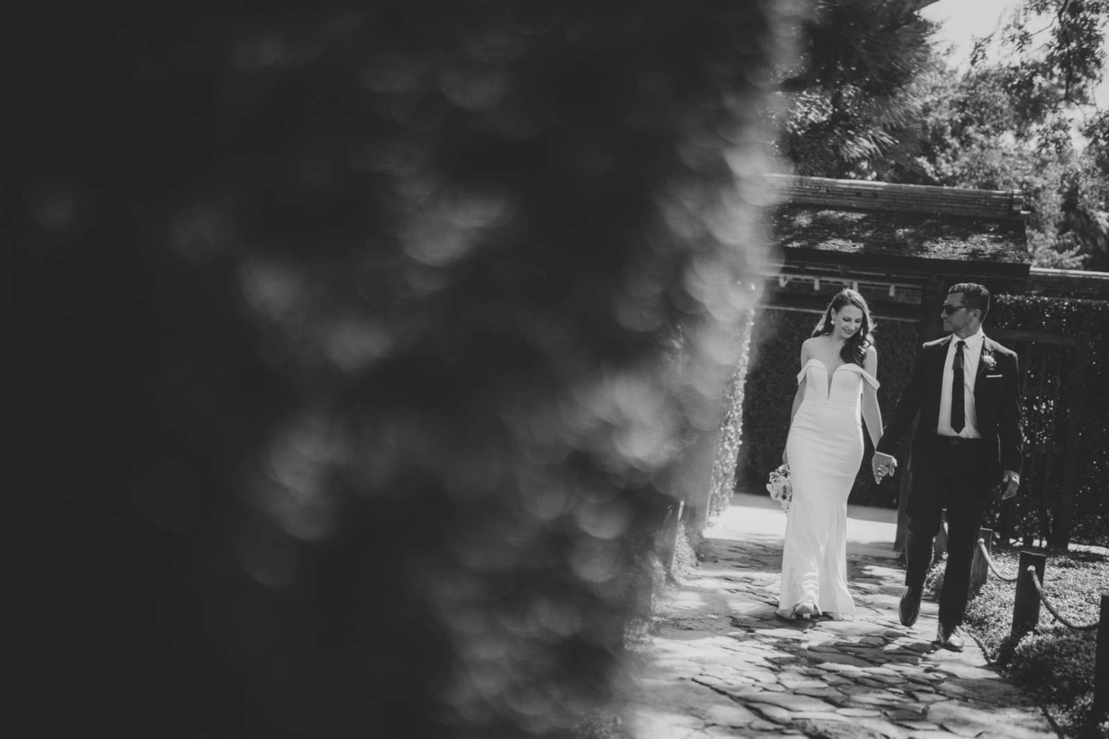 Wedding photograph 116 of 127 from Adele & Jason Kerrison at Cambridge, New Zealand. Two Little Starfish documentary photography, Kerikeri and Northland.
