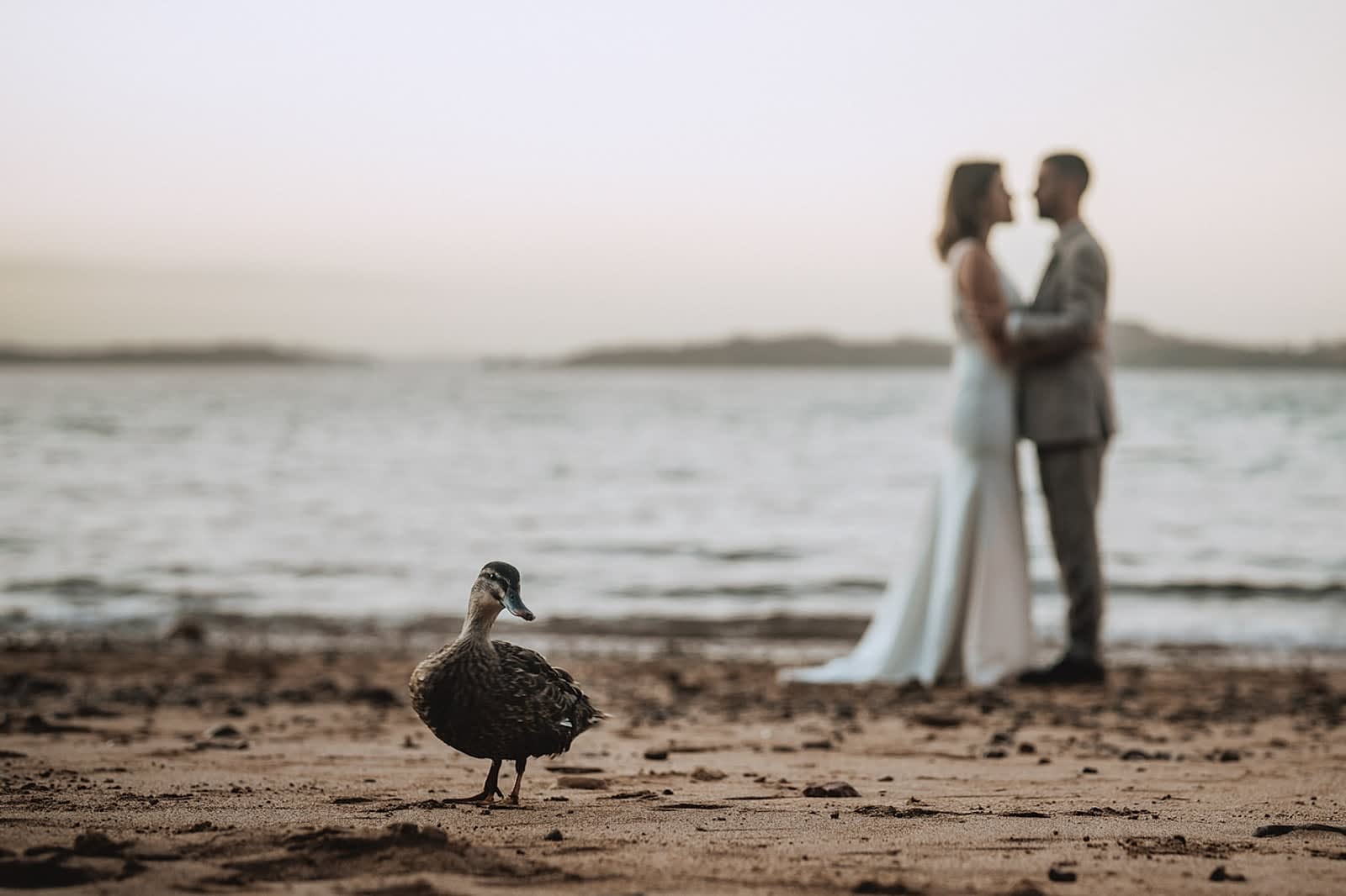 Wedding photograph 132 of 140 from Nick & Shaz at Russell, New Zealand. Two Little Starfish documentary photography, Kerikeri and Northland.