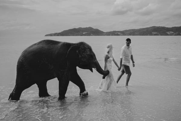 Kalinda & Anthony wedding