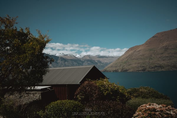 Linda & Paul wedding