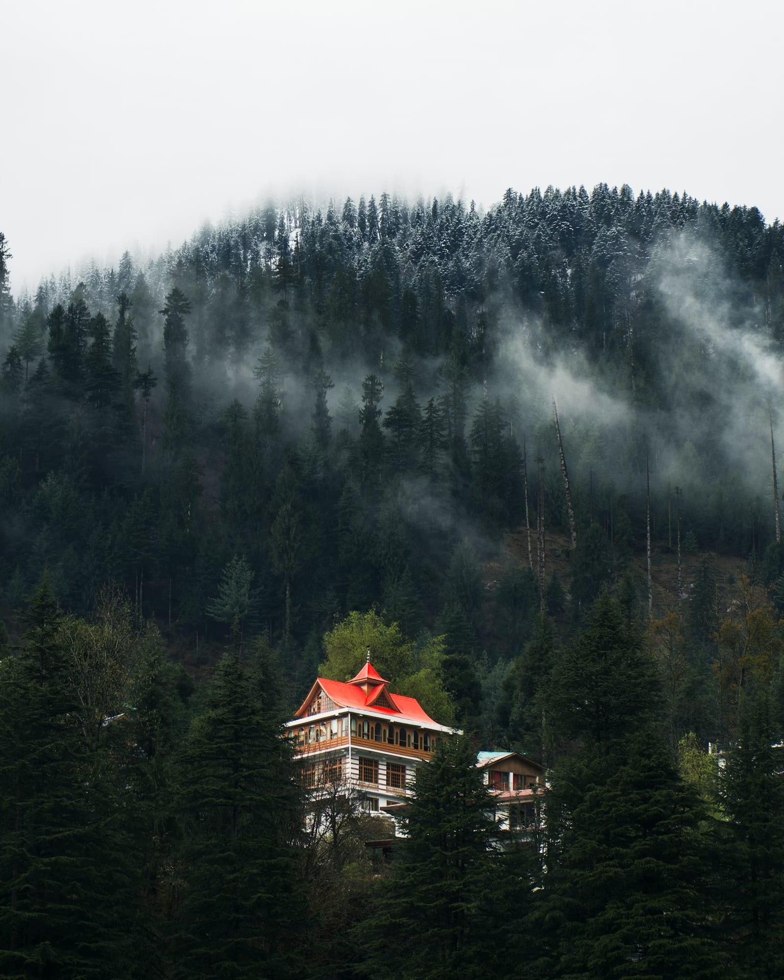 Mountain villa surrounded by forest in Pangot