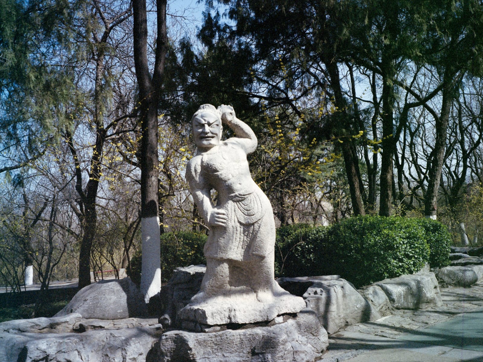 photo