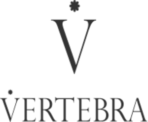 株式会社VERTEBRA logo