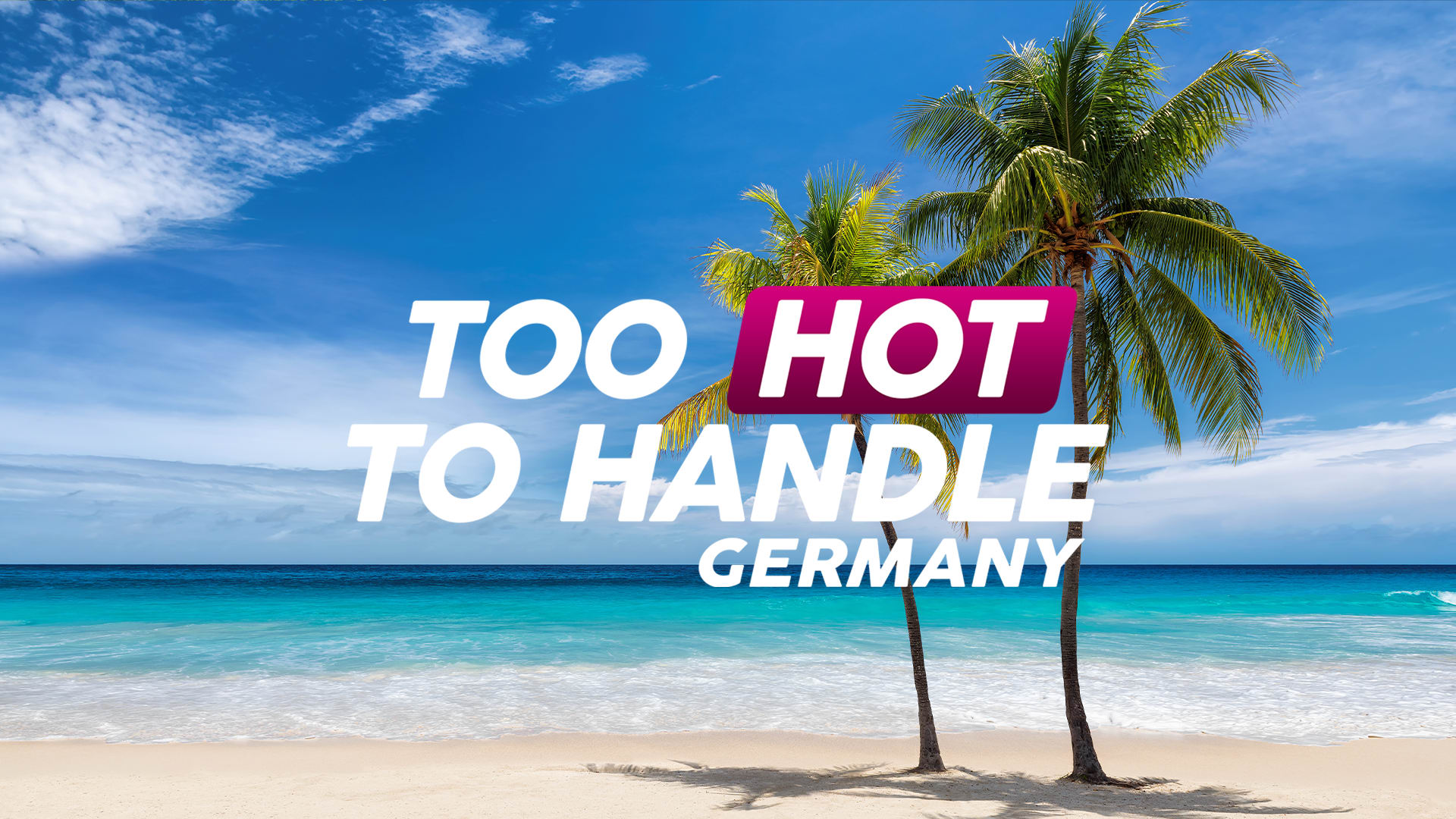 Too Hot To Handle Staffel 1