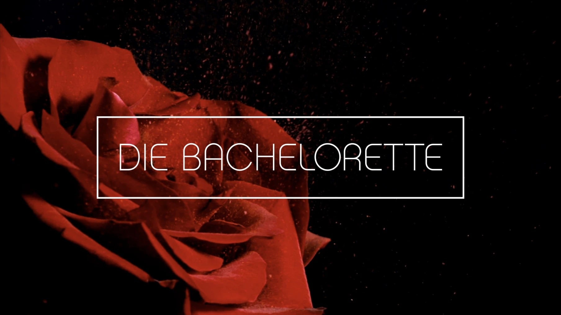 Die Bachelorette Staffel 6