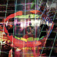 Animal Collective - Centipede Hz album cover