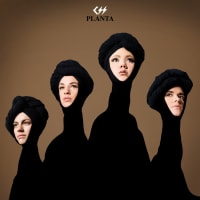 CSS - Planta album cover