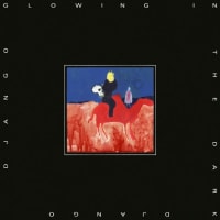 Django Django - Glowing In The Dark album cover