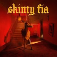 Fontaines D.C. - Skinty Fia album cover