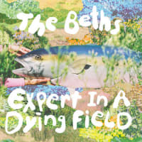 The Beths - Expert In A Dying Field album cover