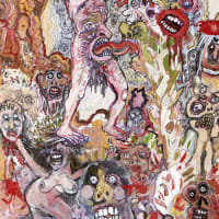 The Bug Club - Very Human Features album cover