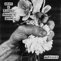 Softcult - When a Flower Doesn't Grow album cover