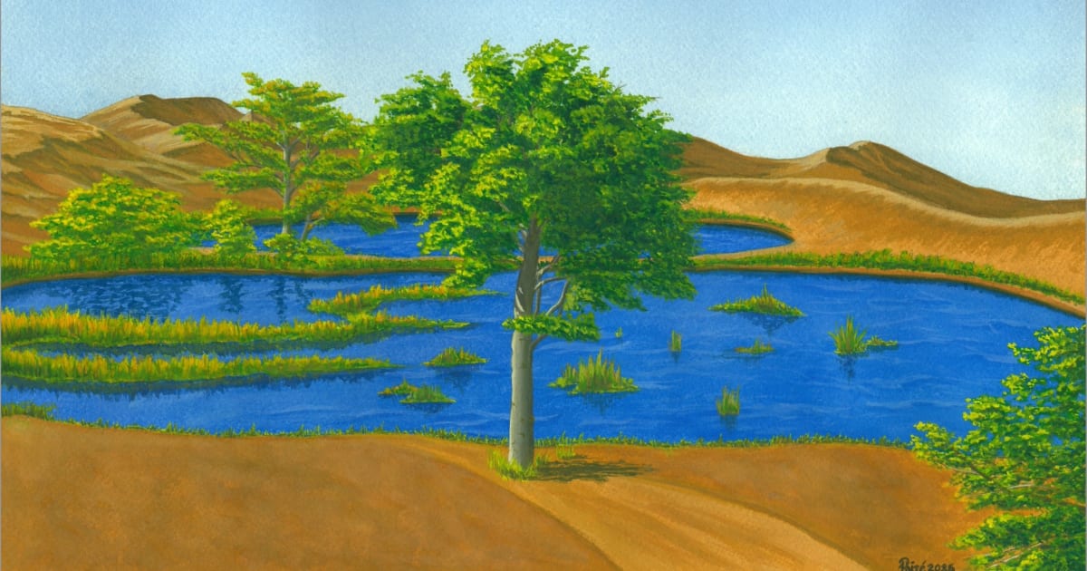 Ezichi Okoroafor