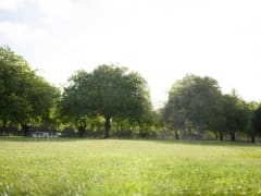 В ЕГРН внесли проект межевания территории воронежского ИП «Масловский-2»