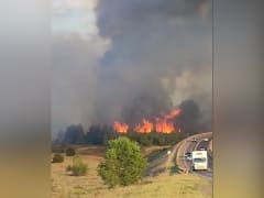 Лесной пожар в Лискинском районе: ситуация под контролем