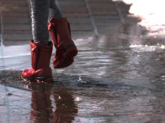 Новая рабочая неделя марта в Воронежской области будет тёплой и дождливой