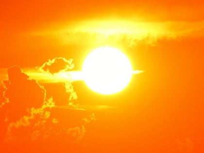 Аномальная жара до +36 градусов продержится в течение двух суток в Воронежской области