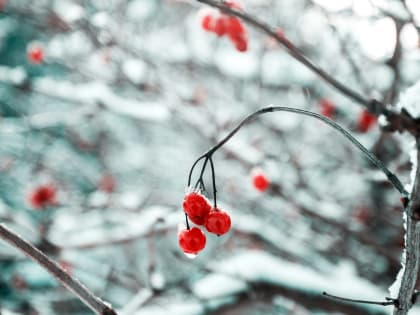 Прогноз погоды в Воронеже на субботу, 20 января