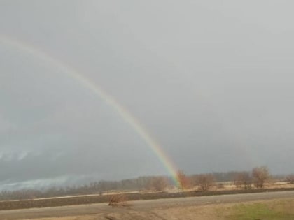 Двойную радугу заметили в небе над Воронежской областью в разгар января