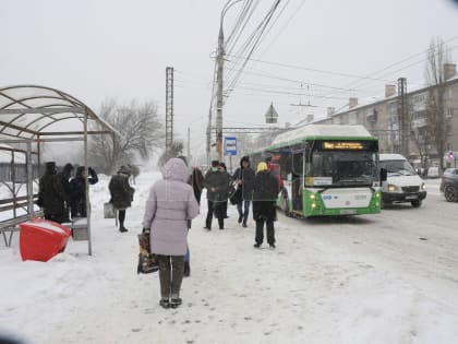 Куда жаловаться на работу общественного транспорта в Воронеже — номера горячей линии