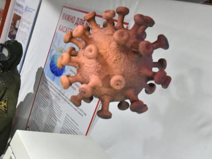 Снижение случаев COVID-19 в Воронежской области продолжается