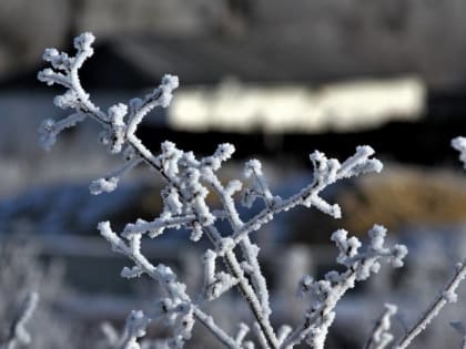 Циклон с юга принесет в Воронежскую область снегопад и морозы до -7 градусов