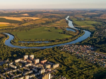 Социологический опрос «Оценка удовлетворенности жителей состоянием озеленения в городах Воронежской области»