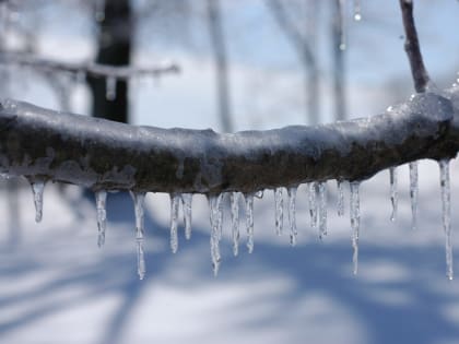 Прогноз погоды в Воронеже на четверг, 1 февраля