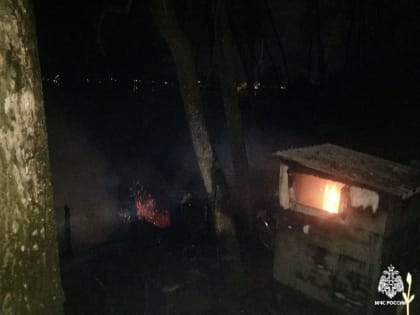 Страшный пожар разгорелся в воронежском поселке Рыбачий