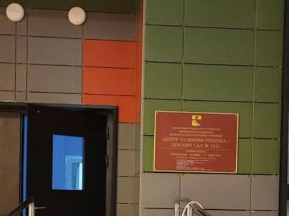 В Воронеже табличку для «очень высоких незрячих людей» повесили на детском садике