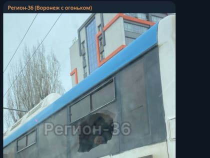 Автобус с ветерком прокатил пассажиров в Воронеже