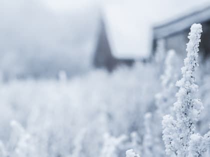 Об аномальных холодах в Воронежской области предупредили местные синоптики