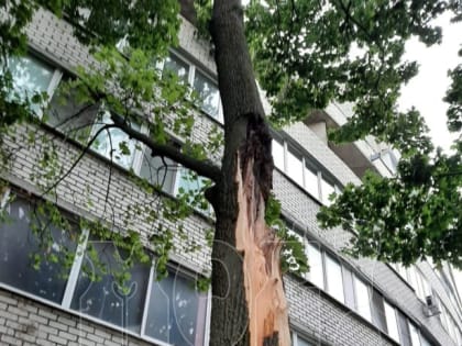 Воронежцы показали последствия разгула стихии на фото