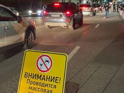 ГИБДД проводит рейды на воронежских дорогах