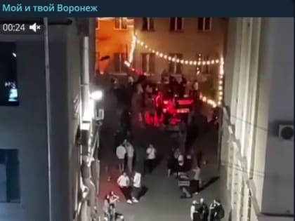 «Не спали полночи»: воронежцев взбесила шумная вечеринка под окнами жилых домов