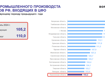В аутсайдерах по индексу промышленного производства оказалась Воронежская область