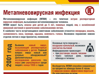 Что из себя представляет «новый» вирус из Китая, рассказали воронежцам