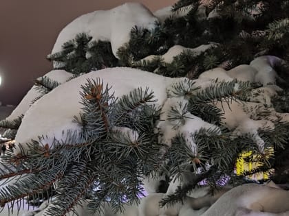 Аномальные морозы задержатся в Воронежской области