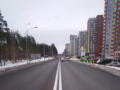 На каких улицах Воронежа появится новая разметка, рассказал мэр