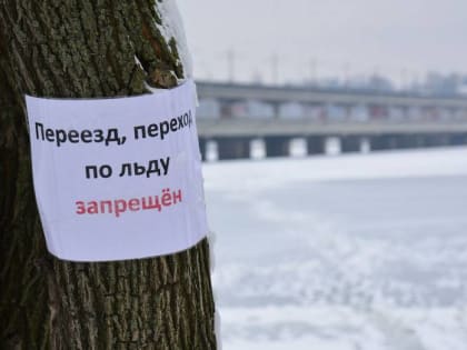 Стало известно, когда похолодает в Воронеже