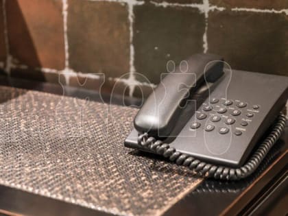 Корреспонденты «МОЁ!» не дозвонились с жалобами на гололедицу в управы трёх районов Воронежа