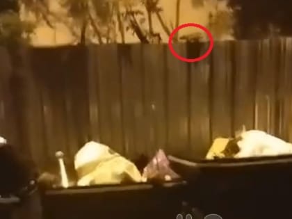 Необычные случаи в жизни читателей