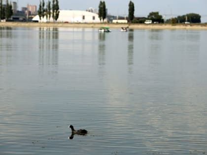 Воронежцы жалуются на сильный химический запах в разных районах города