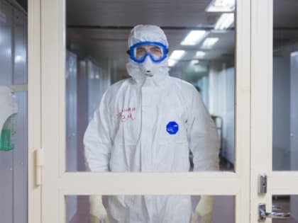 Последний случай заражения воронежцами лихорадкой Денге произошёл в 2024 году