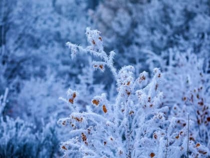 Штормовое предупреждение из-за морозов до -21 градуса объявили в Воронежской области