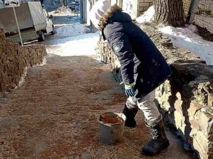 За неделю из-за гололёда пострадали 586 воронежцев