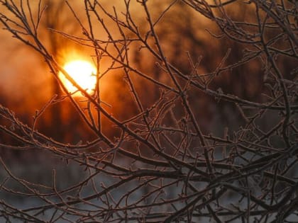 Штормовое предупреждение объявили в Воронежской области из-за аномальных морозов